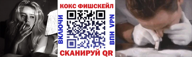 Кокаин Fish Scale  где купить наркотик  Черемхово 