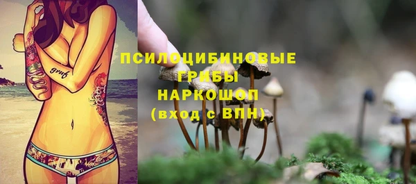ешки Алзамай