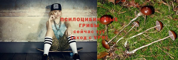 ешки Алзамай