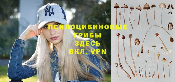 ешки Алзамай