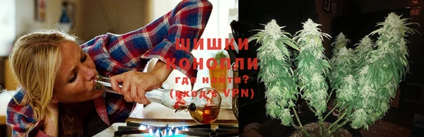 ешки Алзамай